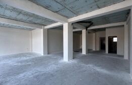 Spațiu comercial parter bloc nou, 109 mp open space, vitrină, terasă, Brestei