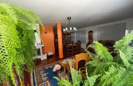 Domeniu de vanzare cu 17.000 mp teren, sat Oboga