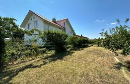 Domeniu de vanzare cu 17.000 mp teren, sat Oboga