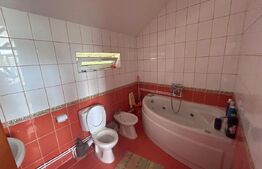 Domeniu de vanzare cu 17.000 mp teren, sat Oboga