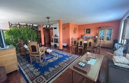 Domeniu de vanzare cu 17.000 mp teren, sat Oboga