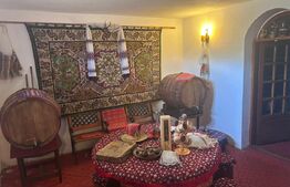 Domeniu de vanzare cu 17.000 mp teren, sat Oboga