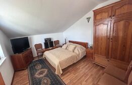 Domeniu de vanzare cu 17.000 mp teren, sat Oboga