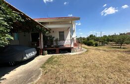 Domeniu de vanzare cu 17.000 mp teren, sat Oboga