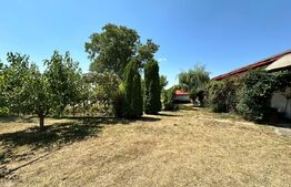 Domeniu de vanzare cu 17.000 mp teren, sat Oboga