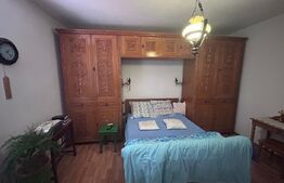 Domeniu de vanzare cu 17.000 mp teren, sat Oboga