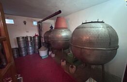 Domeniu de vanzare cu 17.000 mp teren, sat Oboga