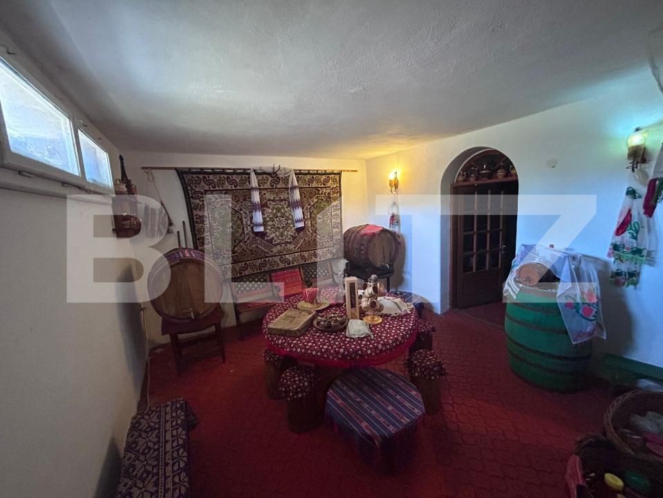 Casa de vânzare 7 camere Exterior Est - 175160CV | BLITZ Craiova | Poza20