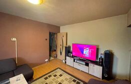 Apartament 3 camere, 53 mp, zona Big Vechi