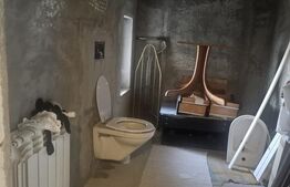 Casa S+P+1, 160mp utili, 1300 mp teren, COMISION 0 LA CUMPARATOR!!!, Malu Mare