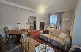 Casa S+P+1, 160mp utili, 1300 mp teren, COMISION 0 LA CUMPARATOR!!!, Malu Mare