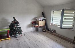 Casa S+P+1, 160mp utili, 1300 mp teren, COMISION 0 LA CUMPARATOR!!!, Malu Mare