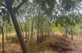 Casa recent renovata, 2023 mp teren, comuna Leu , RATE !!!