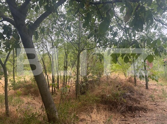 Casa de vânzare 8 camere Cosoveni - 175368CV | BLITZ Craiova | Poza6