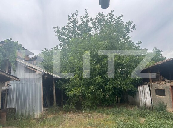 Casa de vânzare 8 camere Cosoveni - 175368CV | BLITZ Craiova | Poza10