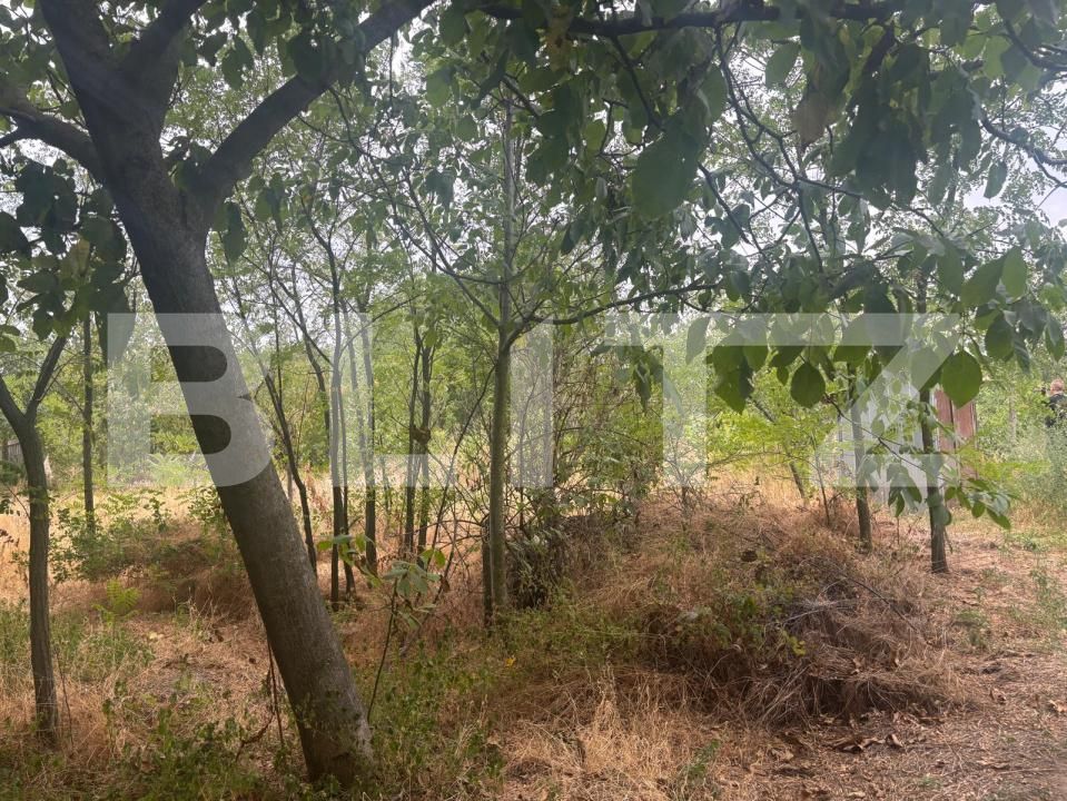 Casa de vânzare 8 camere Cosoveni - 175368CV | BLITZ Craiova | Poza6