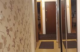 Apartament 3 camere, decomandat, parter, zona Lapus Arges