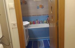 Apartament 3 camere, decomandat, parter, zona Lapus Arges