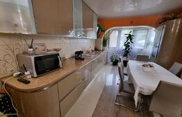 Casa S+P+2, teren 1200 mp, zona Lapus