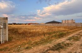 Tefen intravilan  Selgros 680 mp cu deschidere 15m