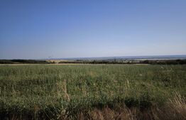 Teren de vânzare Exterior Est - 191210TV | BLITZ Craiova | Poza4