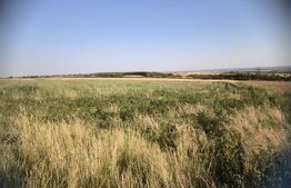 Teren 30.350 mp (600 mp intravilan) – ideal investiție, Cârcea Metro 