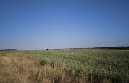 Teren 30.350 mp (600 mp intravilan) – ideal investiție, Cârcea Metro 