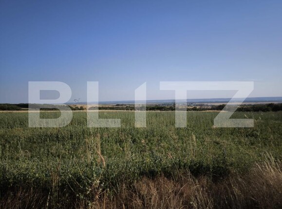 Teren de vânzare Carcea  - 175661TV | BLITZ Craiova | Poza1