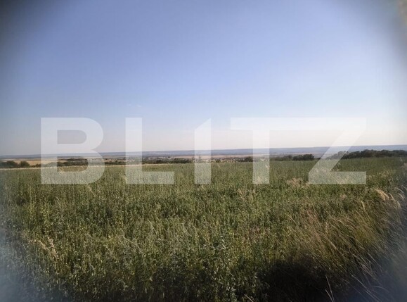 Teren de vânzare Carcea  - 175661TV | BLITZ Craiova | Poza3