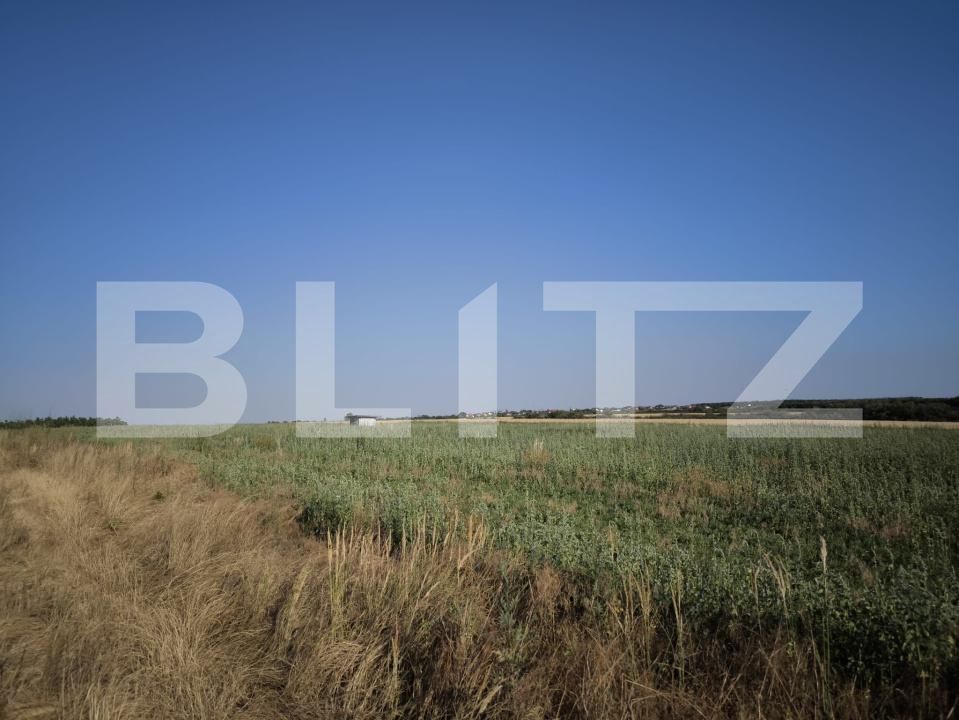 Teren de vânzare Carcea  - 175661TV | BLITZ Craiova | Poza2