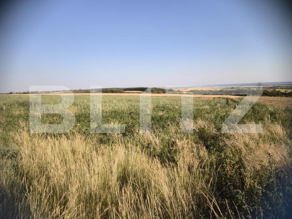 Teren de vânzare Carcea  - 175661TV | BLITZ Craiova | Poza4