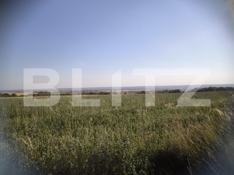 Teren de vânzare Carcea  - 175661TV | BLITZ Craiova | Poza3