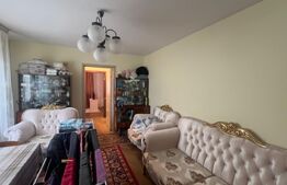 Apartament 2 camere, 54 mp, parter – Valea Roșie