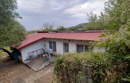 Casa Leamna de Jos, teren 1167mp, langa terenul de fotbal