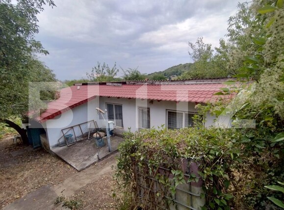 Casa de vânzare 3 camere Leamna de Jos - 175916CV | BLITZ Craiova | Poza2