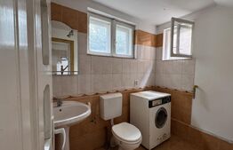 Casă P + E + M cu garaj și casă P, 247 mp utili, 292 mp teren, Centru