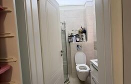 Apartament 3 camere, 80 mp, Calea Severinului zona Auchan