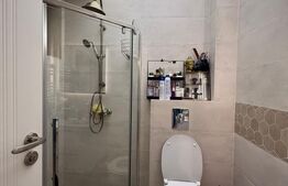 Apartament 3 camere, 80 mp, Calea Severinului zona Auchan