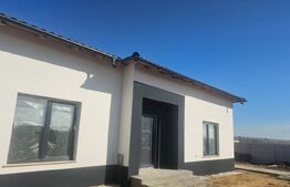 Casa pe parter Damila 100 mp și teren de 412 mp