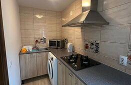 Casa de inchiriat cu 3 camere, zona Lascar Catargiu 