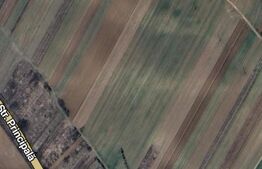 Teren 11000 mp la Dn6 zona Cosoveni 