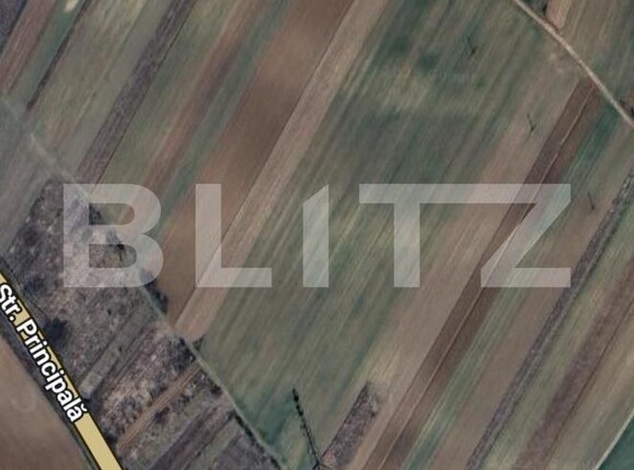 Teren de vânzare Cosoveni - 176203TV | BLITZ Craiova | Poza1