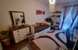 Apartament de vanzare, cu 2 camere, decomandat, 62 mp, zona Ford