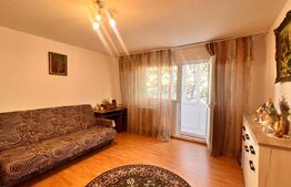 Ocazie rară! Apartament 2 camere, semicentral, etaj intermediar dupa cutremur 