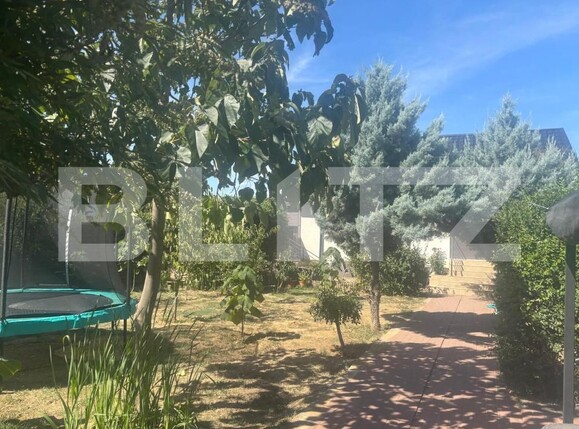 Casa de vânzare 3 camere Pielești - 176328CV | BLITZ Craiova | Poza2