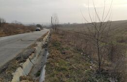 Teren intravilan Pielesti , suprafață 10.000mp deschidere 71,7m