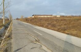 Teren intravilan Pielesti , suprafață 10.000mp deschidere 71,7m