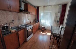 Apartament cu 3 camere,la parter, zona Craiovita Noua 