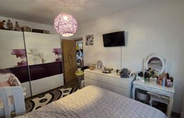 Apartament cu 2 camere - Open Space, 55 mp, zona Ford