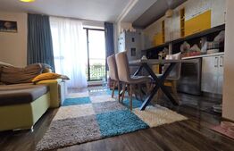 Apartament cu 2 camere - Open Space, 55 mp, zona Ford